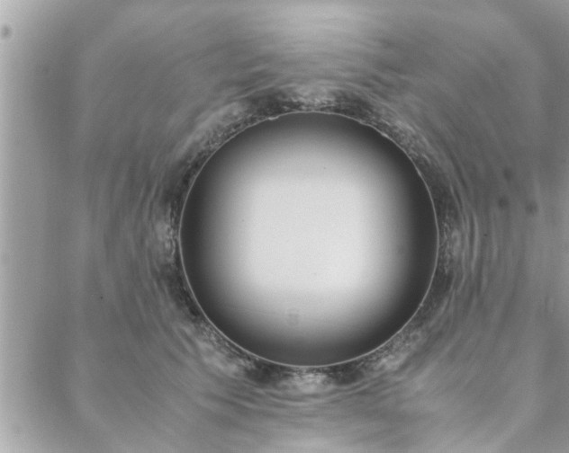 X0000088580609200706011114