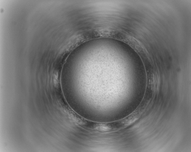 X0000088580610200706011114