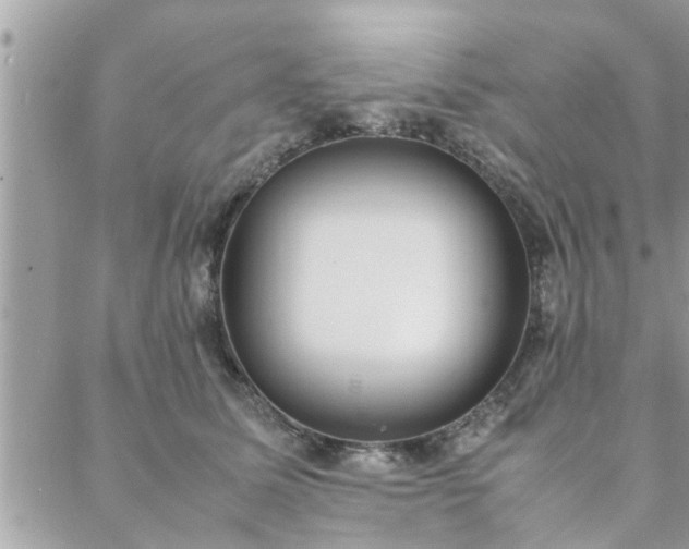 X0000088580611200706011114