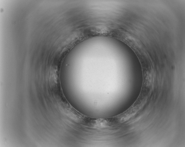 X0000088580612200706011114