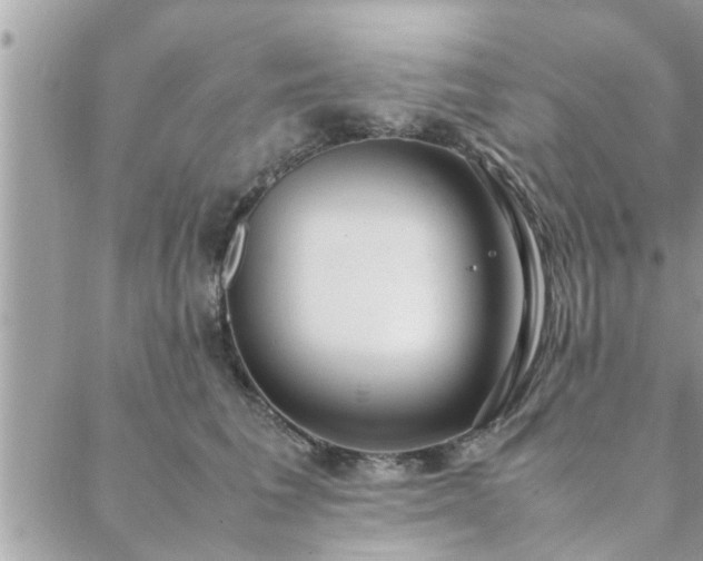 X0000088580613200706011114