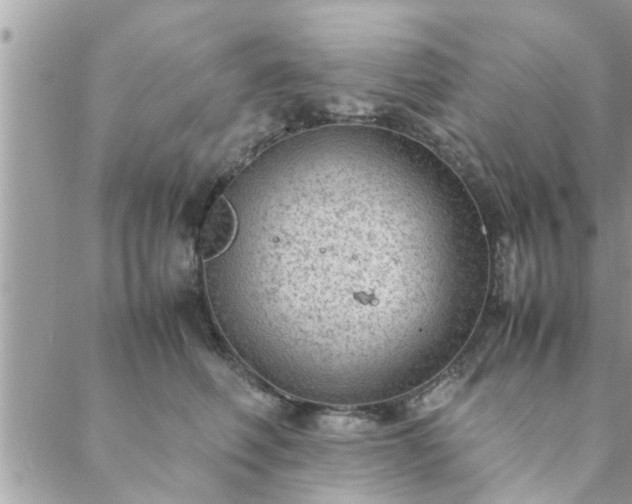 X0000088580614200706011114