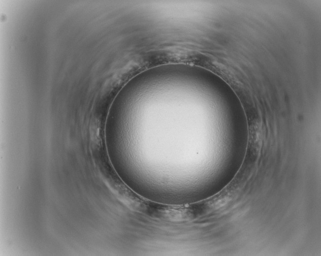 X0000088580615200706011114