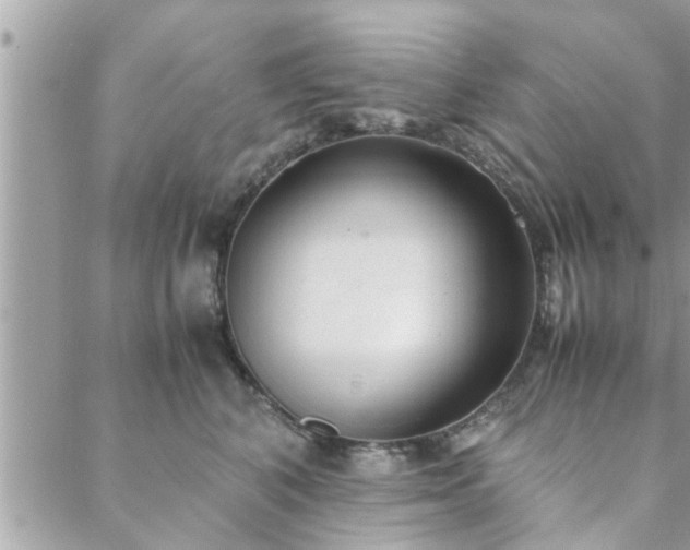 X0000088580616200706011114