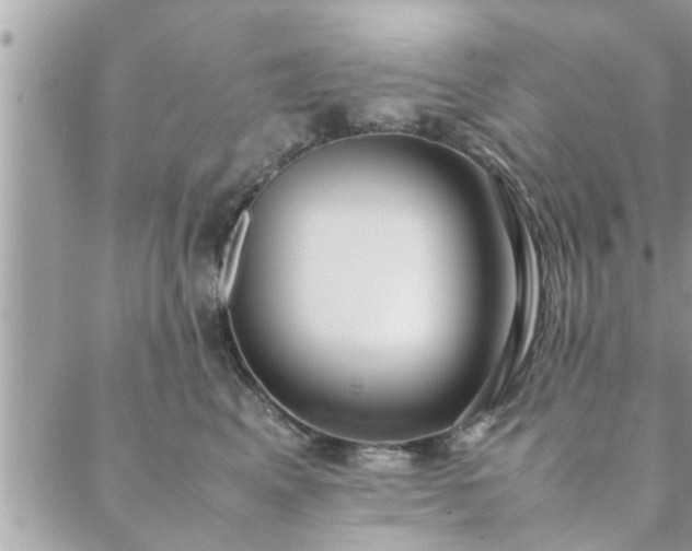 X0000088580617200706011114