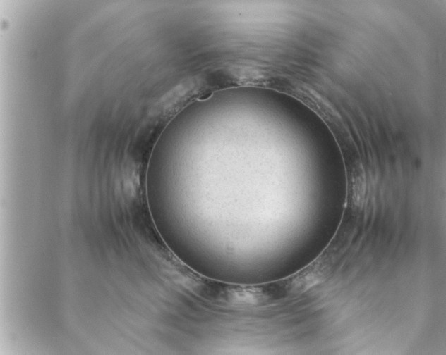 X0000088580618200706011114