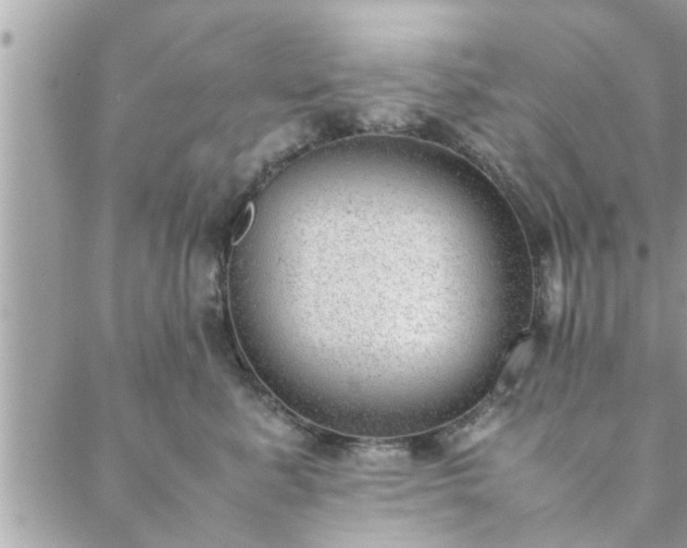 X0000088580619200706011114