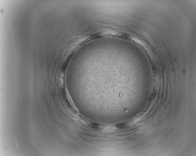 X0000088580621200706011114