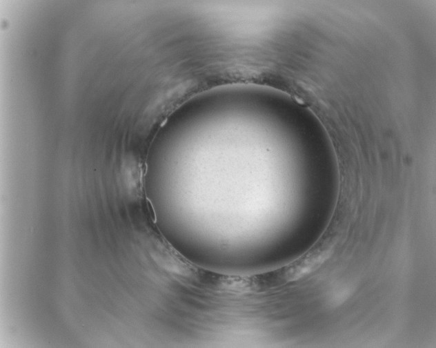 X0000088580624200706011114