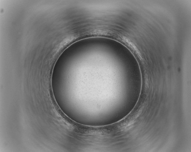 X0000088580625200706011113