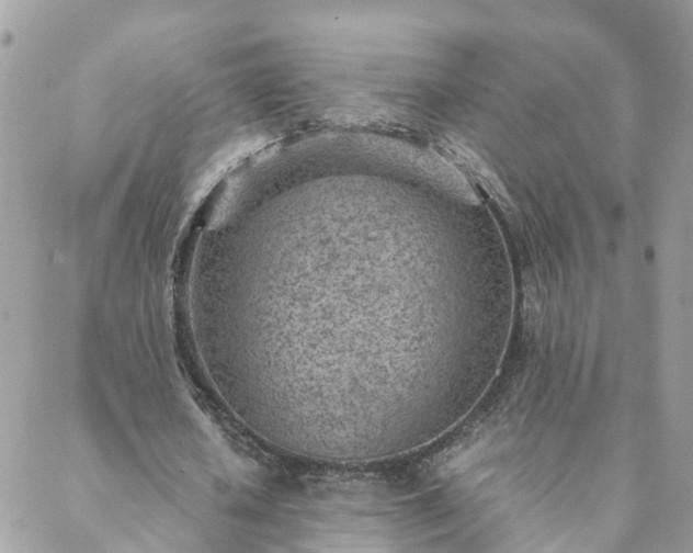 X0000088580626200706011113