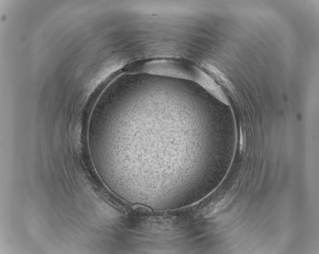 X0000088580627200706011113