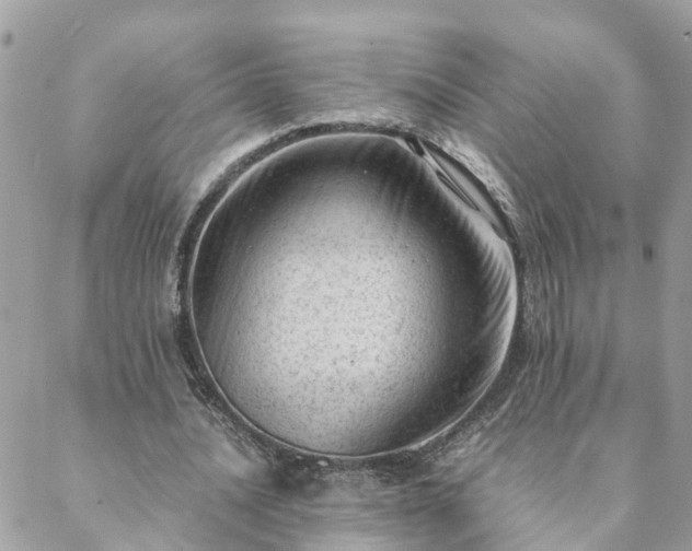 X0000088580628200706011113