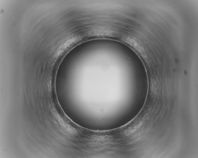 X0000088580629200706011113