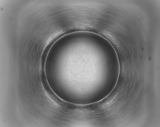 X0000088580630200706011113