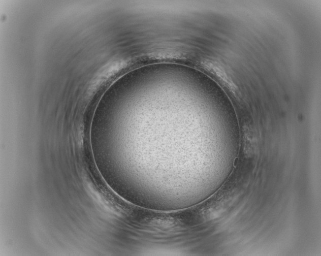 X0000088580631200706011113