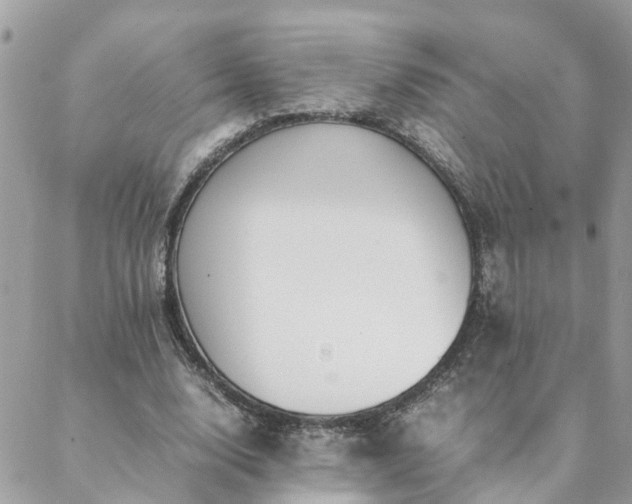 X0000088580632200706011113