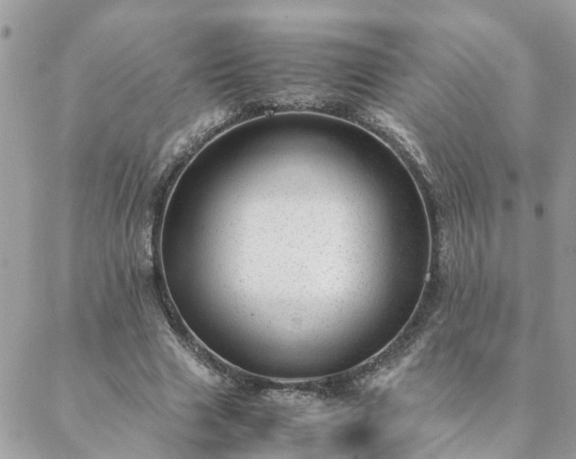 X0000088580633200706011113