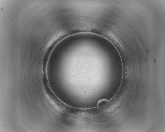 X0000088580634200706011113