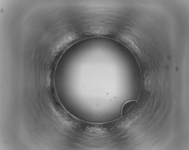 X0000088580635200706011113