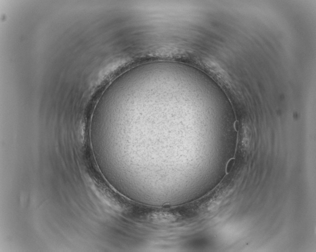 X0000088580636200706011113