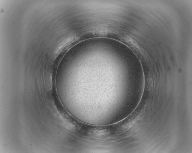 X0000088580638200706011113