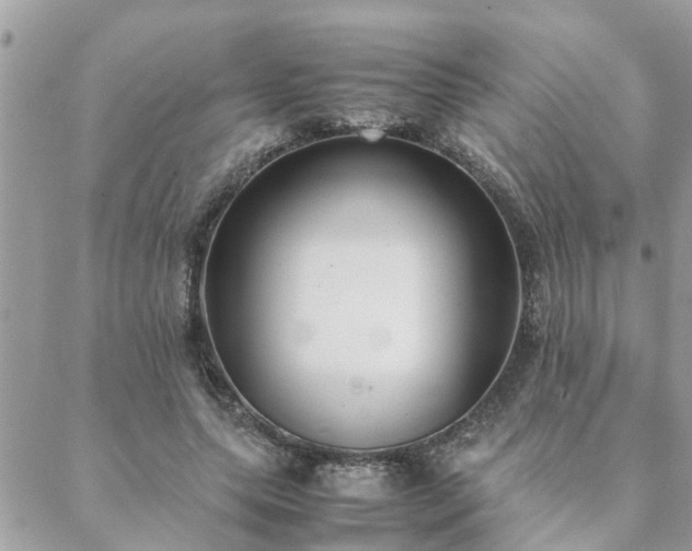 X0000088580639200706011114