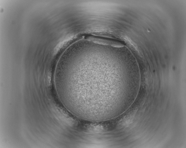 X0000088580640200706011114