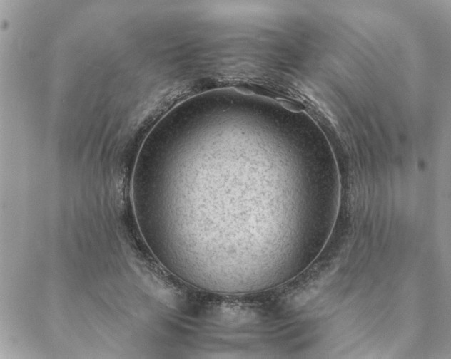 X0000088580641200706011114