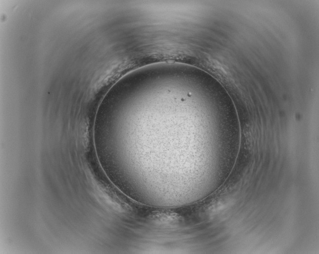 X0000088580642200706011114