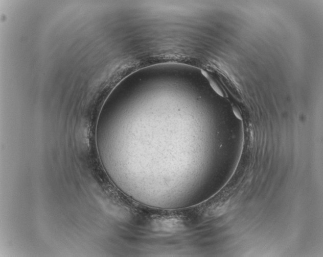 X0000088580643200706011114