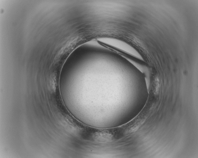 X0000088580644200706011114