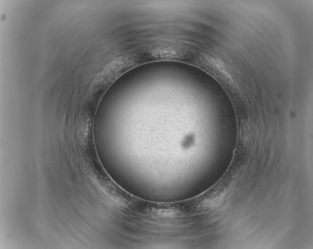 X0000088580645200706011114