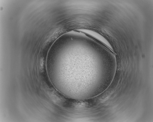 X0000088580646200706011114