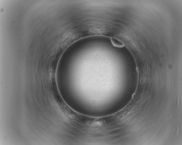 X0000088580647200706011114