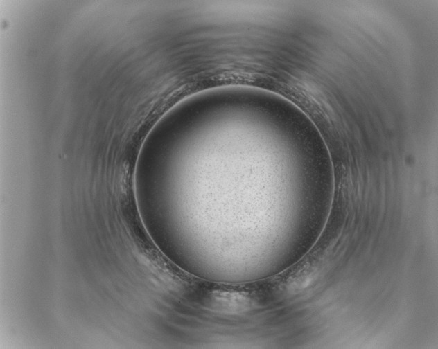 X0000088580649200706011114