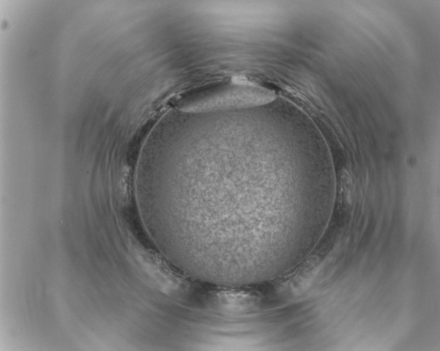 X0000088580650200706011114