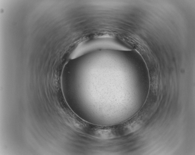 X0000088580653200706011114