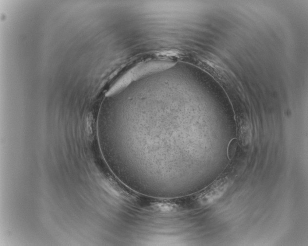 X0000088580654200706011114