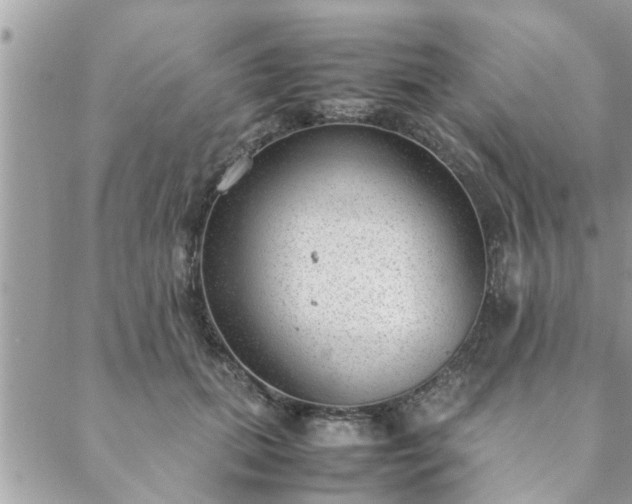 X0000088580655200706011114