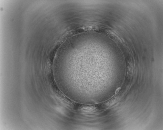 X0000088580659200706011114