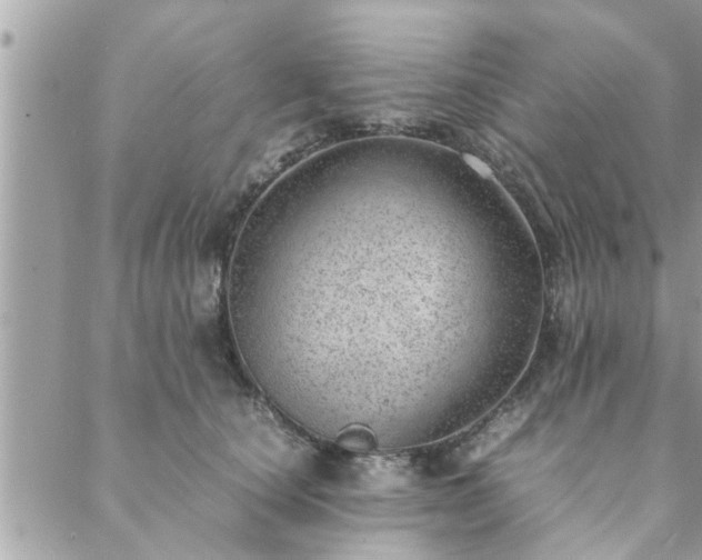 X0000088580660200706011114