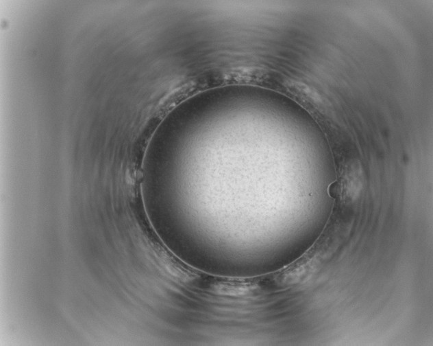 X0000088580661200706011114