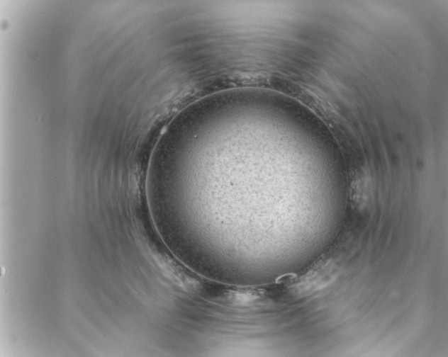 X0000088580662200706011114