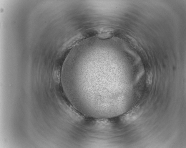 X0000088580666200706011114