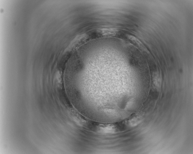 X0000088580667200706011114