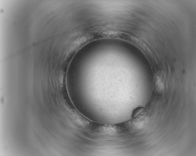 X0000088580668200706011114