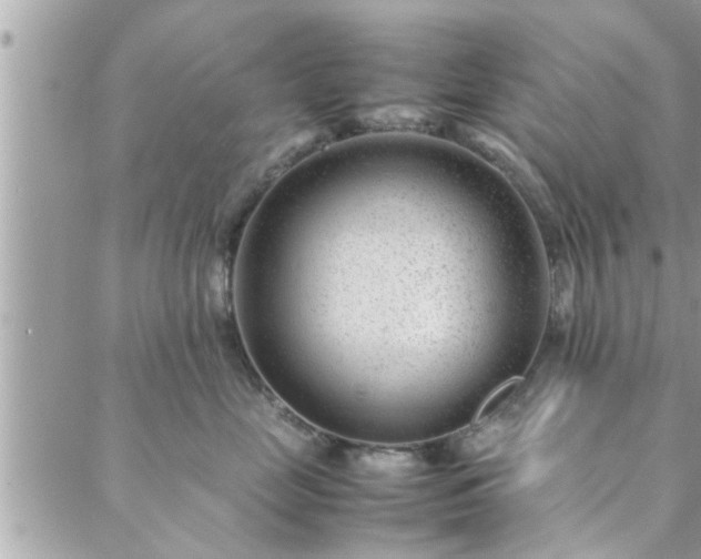 X0000088580669200706011114