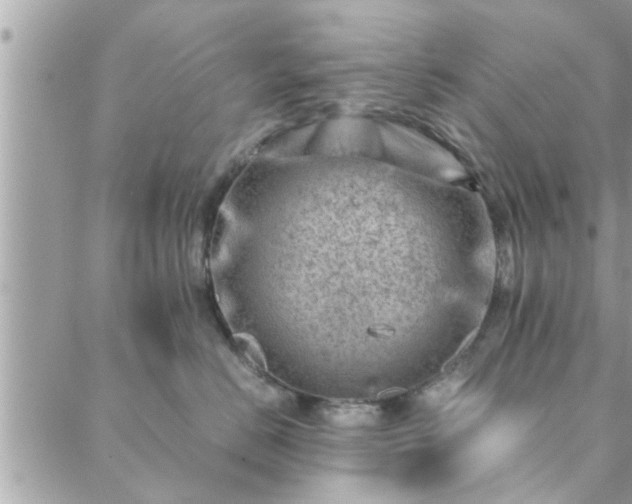 X0000088580670200706011114