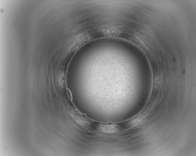 X0000088580671200706011114